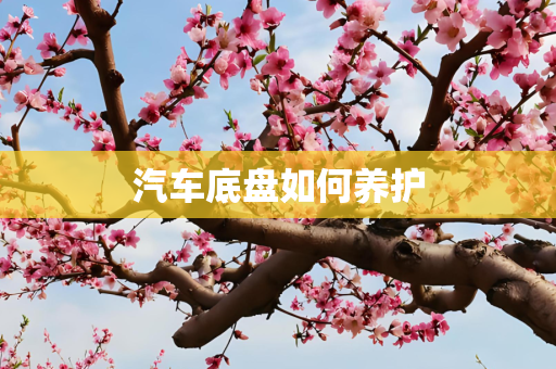汽车底盘如何养护
