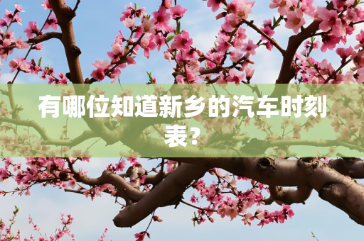 有哪位知道新乡的汽车时刻表？