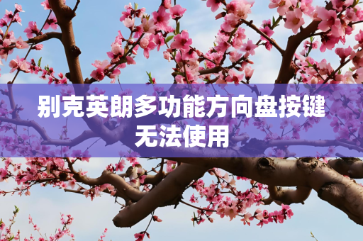 别克英朗多功能方向盘按键无法使用