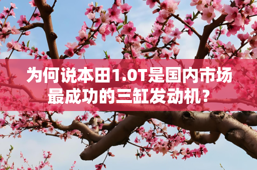 为何说本田1.0T是国内市场最成功的三缸发动机？