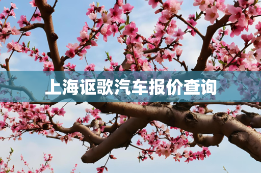 上海讴歌汽车报价查询