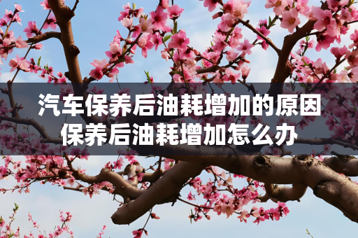 汽车保养后油耗增加的原因保养后油耗增加怎么办