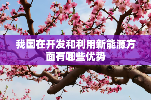 我国在开发和利用新能源方面有哪些优势