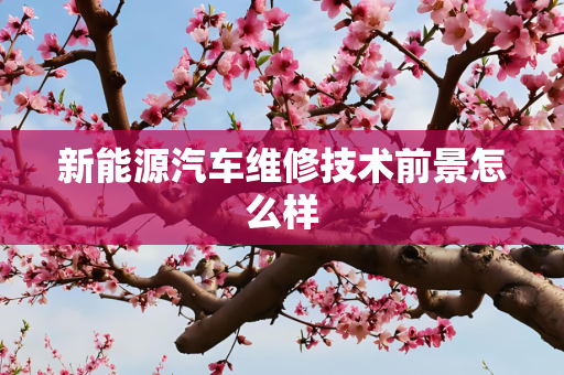 第1696页