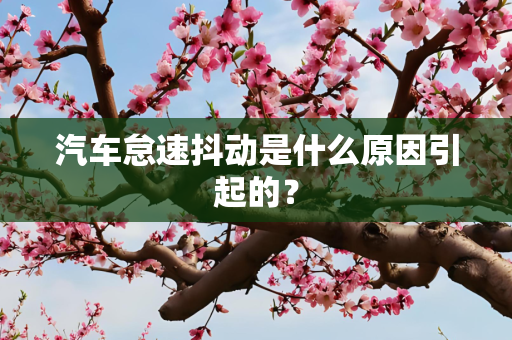 汽车怠速抖动是什么原因引起的？