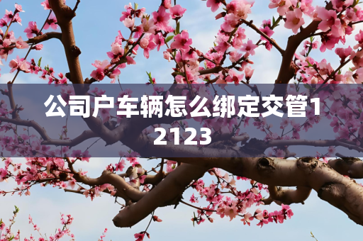 公司户车辆怎么绑定交管12123