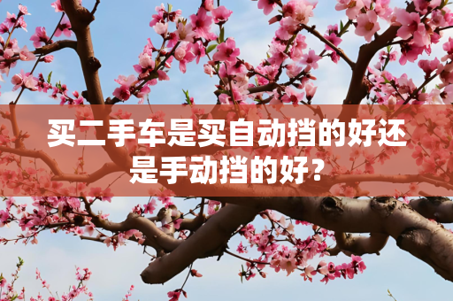买二手车是买自动挡的好还是手动挡的好？