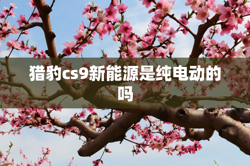 猎豹cs9新能源是纯电动的吗