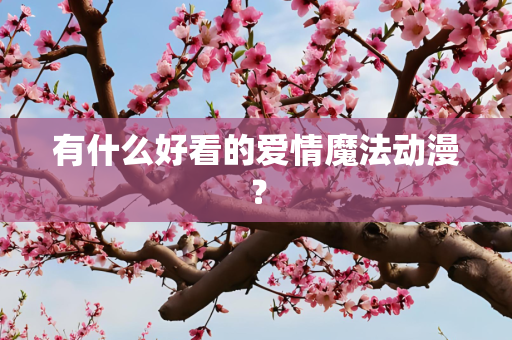 有什么好看的爱情魔法动漫？