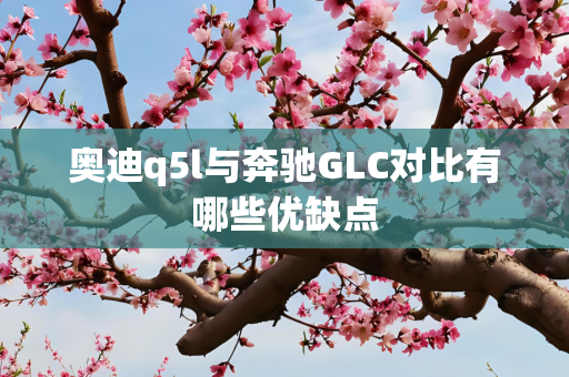 奥迪q5l与奔驰GLC对比有哪些优缺点