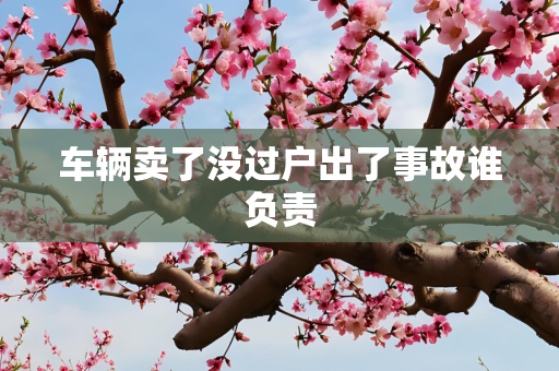 车辆卖了没过户出了事故谁负责