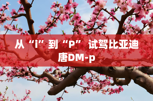 从“i”到“P” 试驾比亚迪唐DM-p