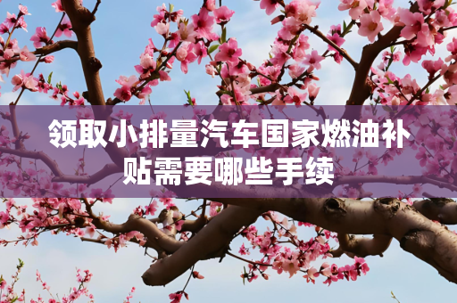 领取小排量汽车国家燃油补贴需要哪些手续