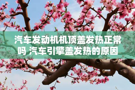 汽车发动机机顶盖发热正常吗 汽车引擎盖发热的原因