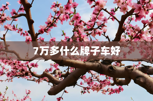 7万多什么牌子车好