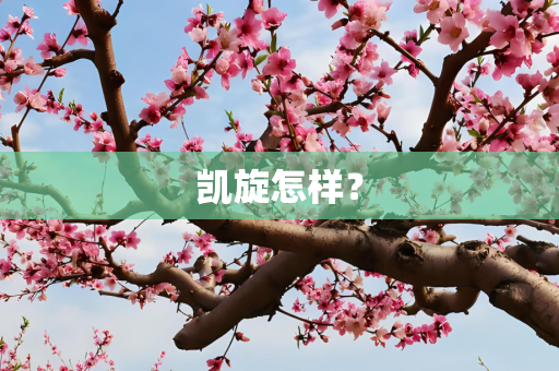 凯旋怎样？
