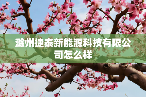 滁州捷泰新能源科技有限公司怎么样