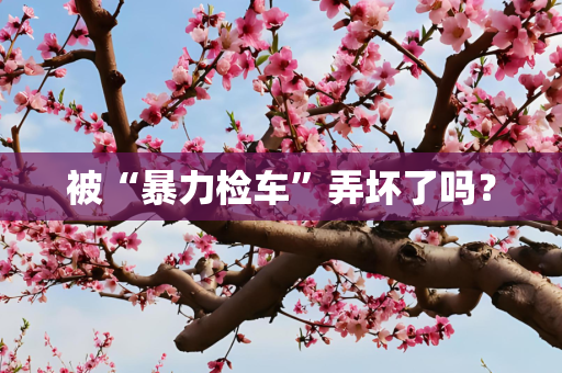 被“暴力检车”弄坏了吗？