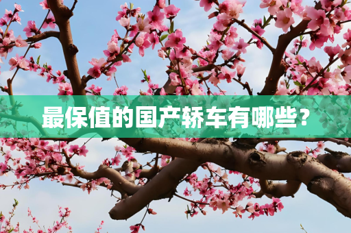 最保值的国产轿车有哪些？
