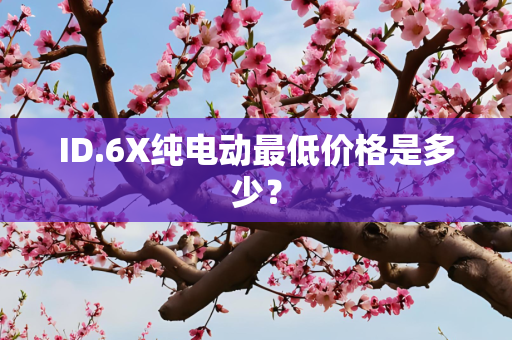 ID.6X纯电动最低价格是多少？