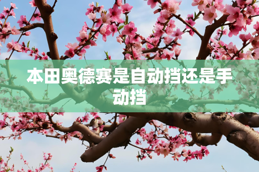 本田奥德赛是自动挡还是手动挡