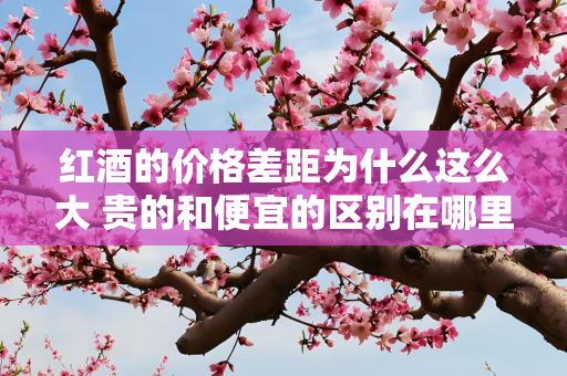 红酒的价格差距为什么这么大 贵的和便宜的区别在哪里