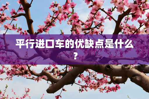 平行进口车的优缺点是什么？