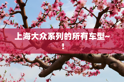 上海大众系列的所有车型~！