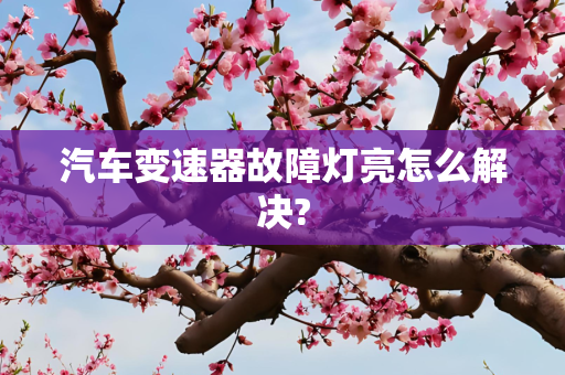 汽车变速器故障灯亮怎么解决?