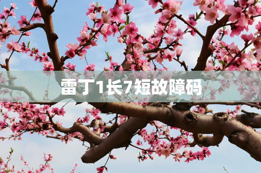 雷丁1长7短故障码