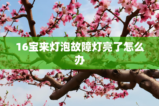 16宝来灯泡故障灯亮了怎么办