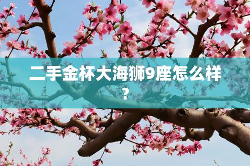 二手金杯大海狮9座怎么样?