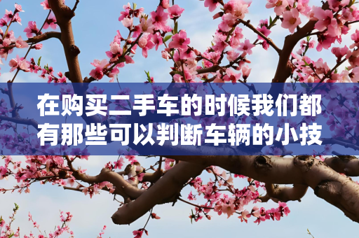 在购买二手车的时候我们都有那些可以判断车辆的小技巧？