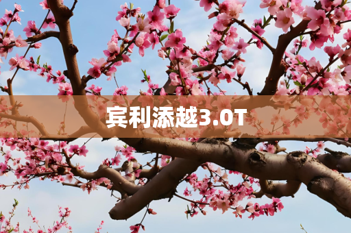 宾利添越3.0T