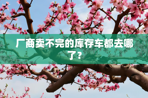 厂商卖不完的库存车都去哪了？