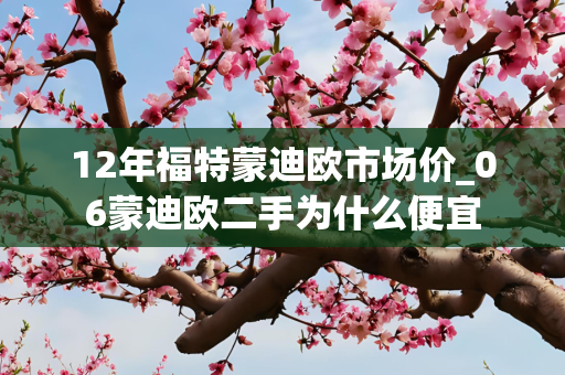 12年福特蒙迪欧市场价_06蒙迪欧二手为什么便宜
