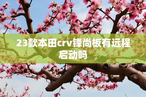 23款本田crv锋尚板有远程启动吗