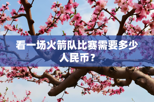 看一场火箭队比赛需要多少人民币？