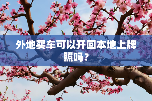 外地买车可以开回本地上牌照吗？