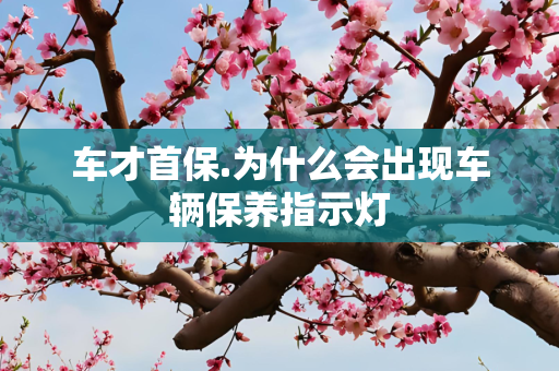 车才首保.为什么会出现车辆保养指示灯