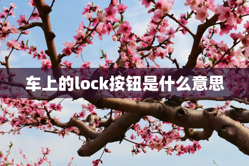 车上的lock按钮是什么意思