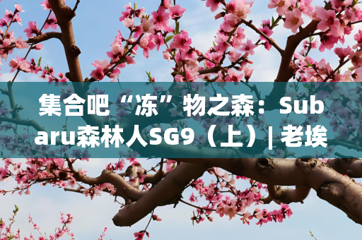 集合吧“冻”物之森：Subaru森林人SG9（上）| 老埃说车