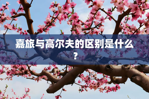 嘉旅与高尔夫的区别是什么？