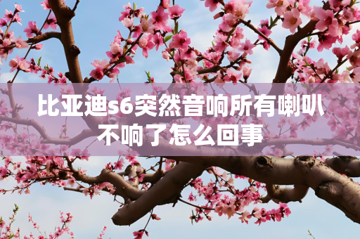 比亚迪s6突然音响所有喇叭不响了怎么回事