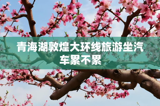 青海湖敦煌大环线旅游坐汽车累不累