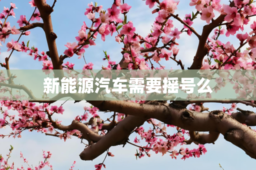 新能源汽车需要摇号么