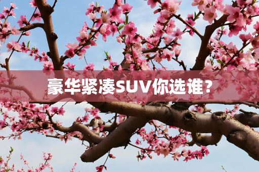 豪华紧凑SUV你选谁？