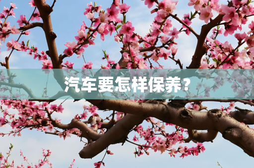 汽车要怎样保养？