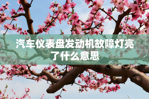 汽车仪表盘发动机故障灯亮了什么意思