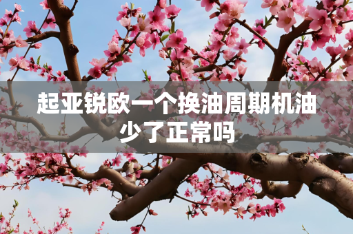 起亚锐欧一个换油周期机油少了正常吗